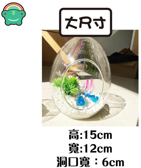 蛋形玻璃微景觀生態瓶 創意盆栽花器, 大號：高 15 cm (蛋形玻璃空瓶)