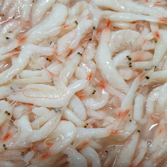 신안 천일염 새우젓 육젓 2kg 1kg 국내산 김장용 요리용 자연숙성 깊은 감칠맛 바다의선물, 1개