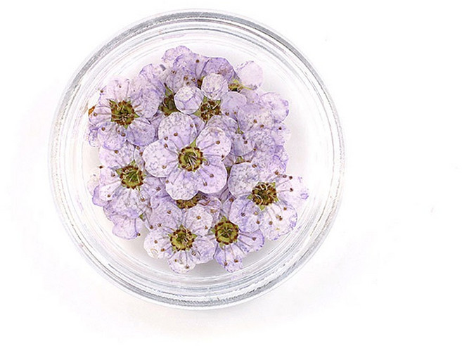 에폭시 쥬얼리 제작 아트 DIY 압화 20개/박스 꽃 액세서리용 네일 공예, A9 20pcs1set1set