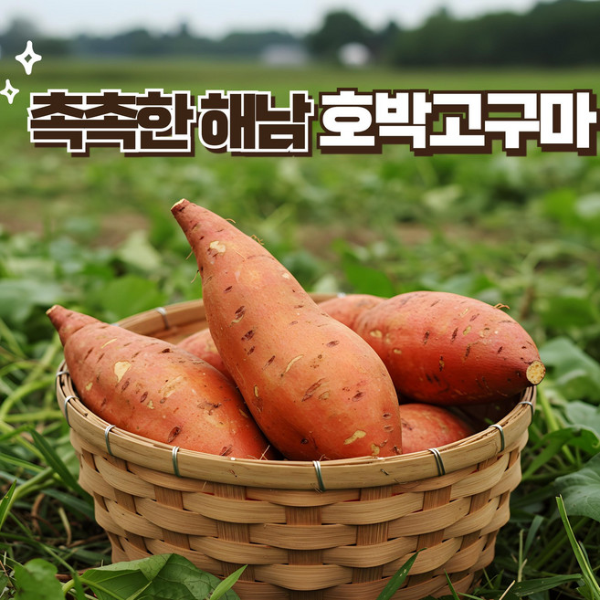 해남 산지 직송 꿀 고구마 (호박/밤고구마), 1박스, 호박고구마 상  2kg