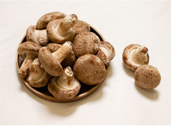 문경 유황 백송화버섯 슬라이스 100g, 1개