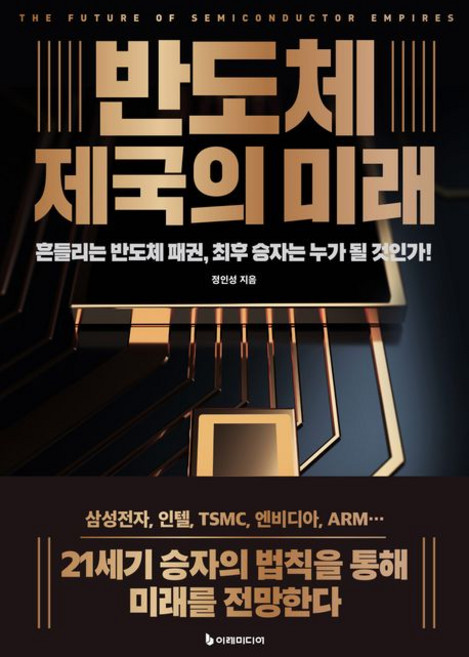 정인성 반도체 제국의 미래, 1개