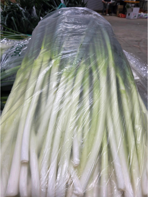 국내산 5kg 깐대파 절단대파 신선대파, 1개