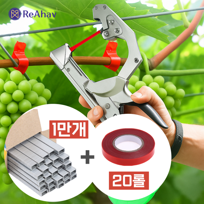 레아하브 팜그립 식물 결속기, 1세트