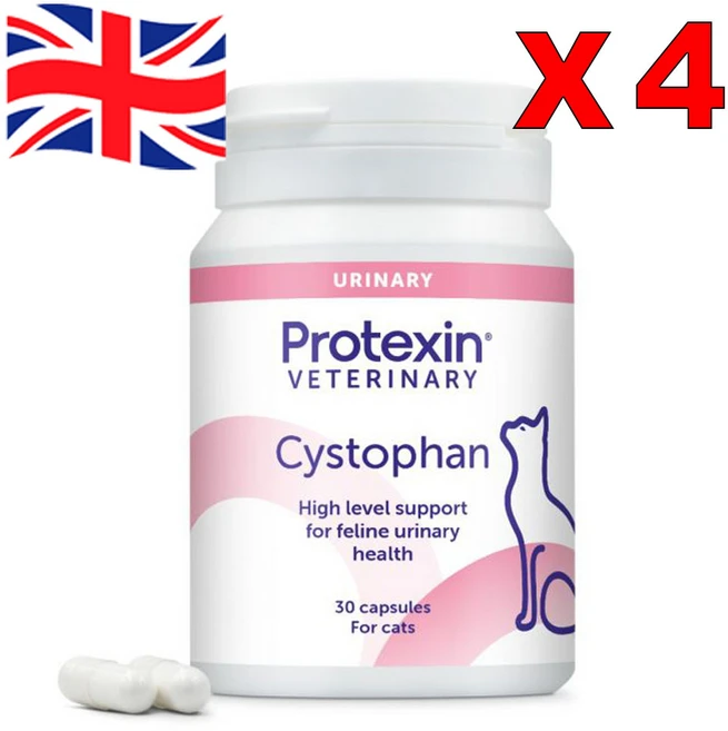 30정 4통 프로텍신 프로텍신 시스토판 반려견 반려묘 Protexin Cystophan Capsules, 4개 - 쿠팡