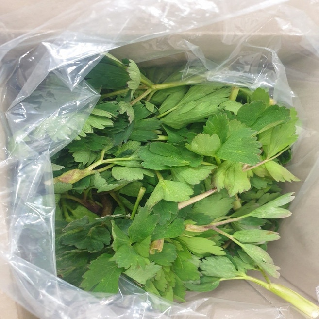 입맛을 살려주는 쌉싸름하며 달큰한 여수노지 햇 방풍나물, 1kg, 1개