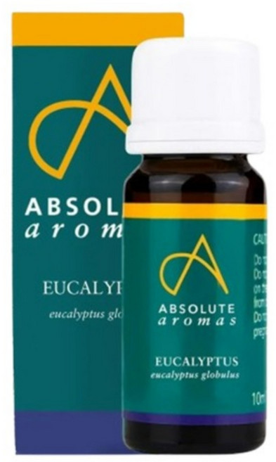 앱솔루트 에센셜오일 유칼립투스 글로블루스 10ml/30ml/100ml, 1개