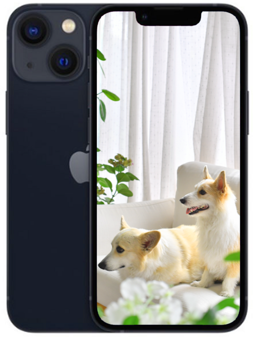 i/폰13 새제품 미개봉, 256GB, 블랙 아이폰 13