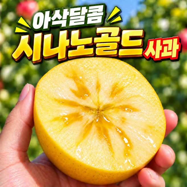 고당도 시나노골드 사과 황금사과, 1박스, 3kg