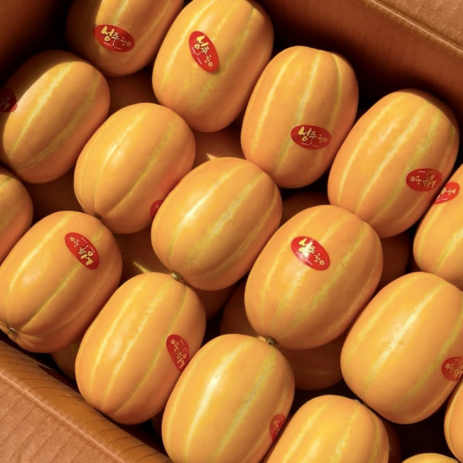 [딱2주마감특가] 성주직송 벌꿀당도 꿀참외 가정용, 1박스, 5kg