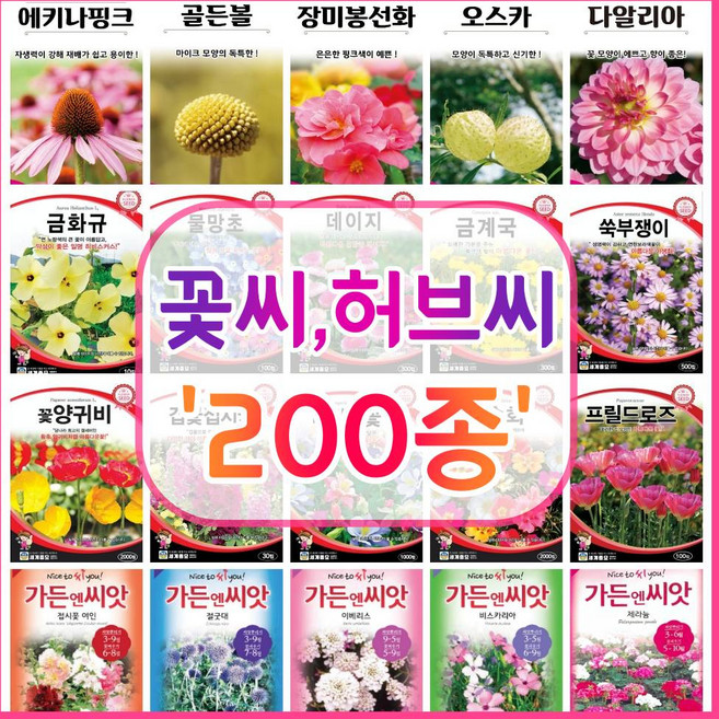 꽃씨 200종 꽃씨앗 꽃씨몰 다년생 월동 꽃 씨앗 세트 야생화 종자 / 코스모스 국화 제라늄 구절초 겹접시꽃 버들마편초 금어초 양귀비씨앗 메리골드 스토크 금어초 네모필라 꽃잔디, 157. 비스카리아 100립, 1개