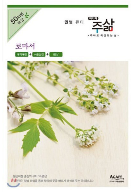 주삶: 로마서:개역개정+쉬운성경+ESV, 아가페출판사