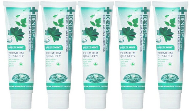 덴티스테 뉴 플러스화이트 치약, 200g, 5개