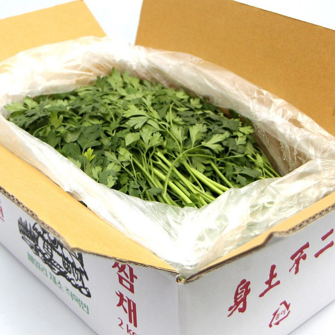 국내산 특품 이태리파슬리 반박스 1kg 이탈리안파슬리 향나물, 이탈리안파슬리 반박스(1kg내외), 1개