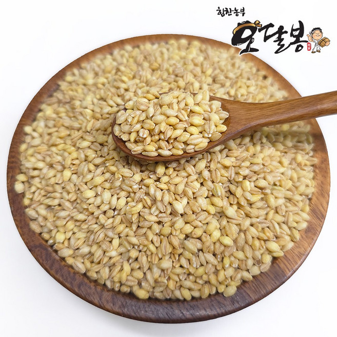 힘찬농부오달봉 국산 황금찰보리 찰보리, 1kg, 1개