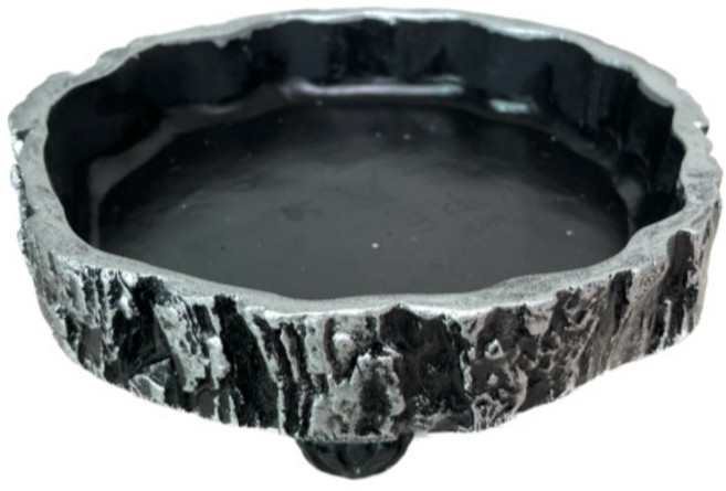 [희망참숯농원] 희망소나무1호 수반