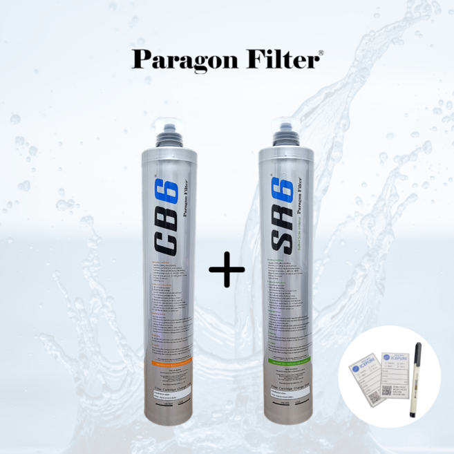 파라곤 CB6 + SR6 정수필터 (카본필터 스케일필터), 1개, 세트