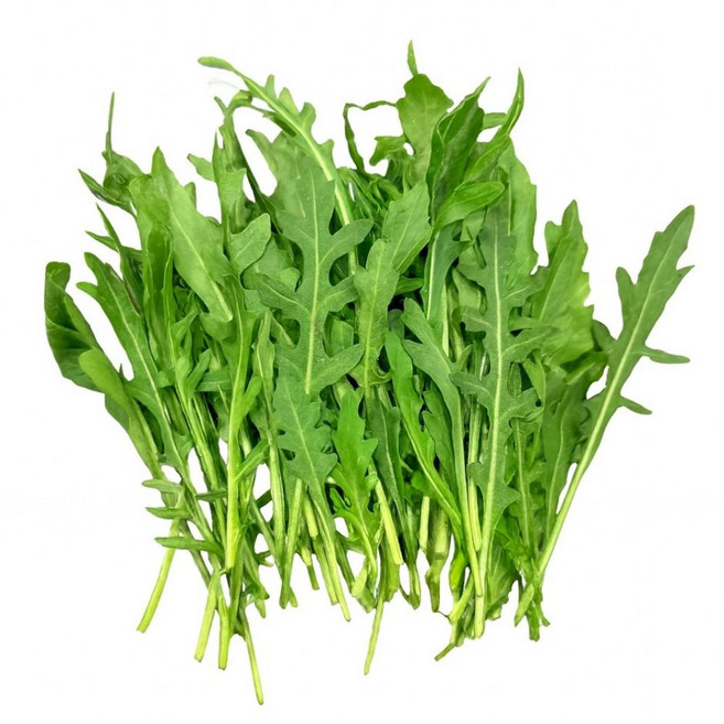 맛통령 와일드 루꼴라, 1박스, 1kg