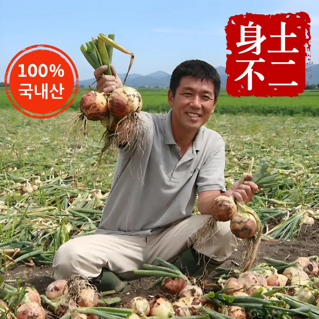 더맛곳간 국내산 햇 양파 단단한 저장 국산 무안 창녕, 1개, 10kg 특대