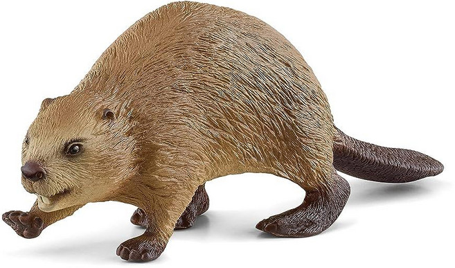 Schleich Wild Life 아동용 북미 우드랜드 야생 동물 장난감 비버 장난감 피규어 만 3세 이상