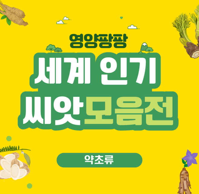 약초류))인기 채소씨앗모음전 / 세계종묘 아시아종묘 /엽채류 양채류 근채류 등, 2. 백도라지 1000립, 1개