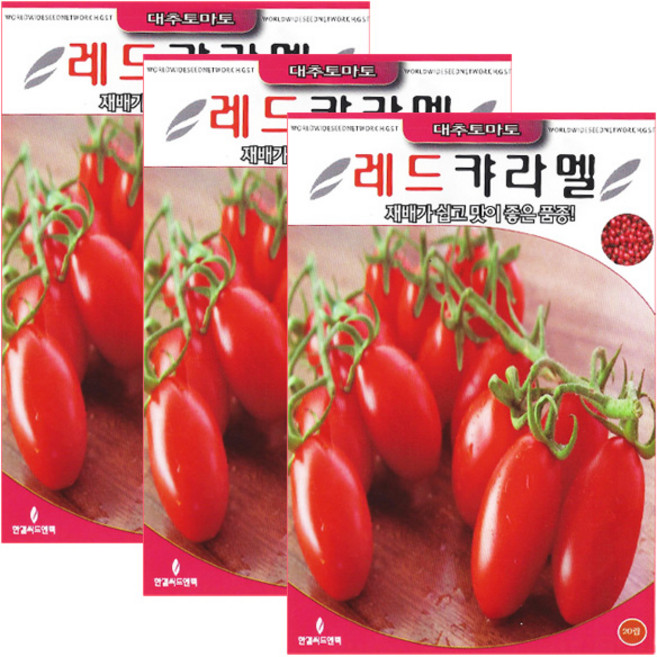 세인화분 레드 대추토마토씨앗 20립 방울토마토 키우기 대추방울토마토 씨앗, 3개