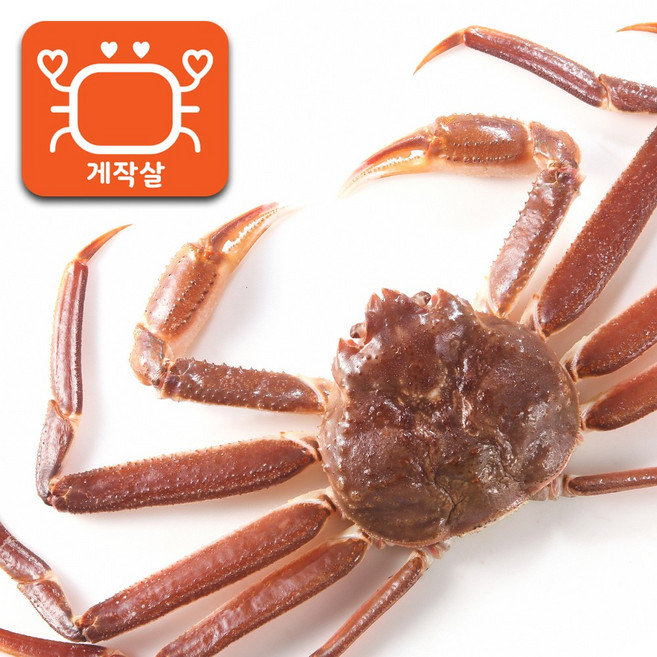 러시아 라이브(생물)대게 러시아 연방 직수입 최고수율, 라이브대게 800g~900g x 1마리, 1개