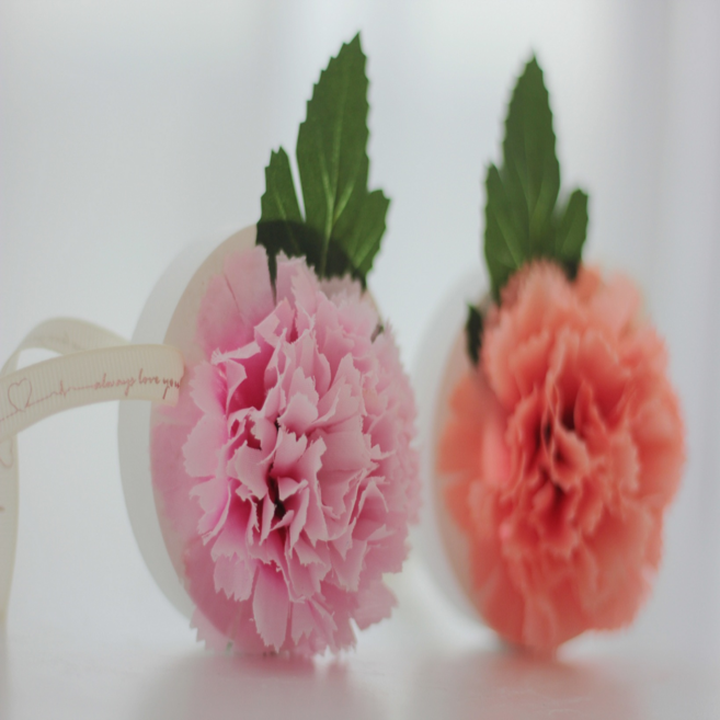 리얼 카네이션 석고 타블렛 DIY 키트 (1인)