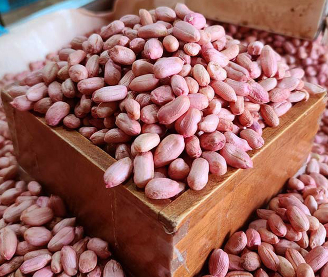 국내산 남지 땅콩 공장 직송 알땅콩 깐땅콩 볶음용 조림반찬용 생땅콩 1kg, 500g, 2개