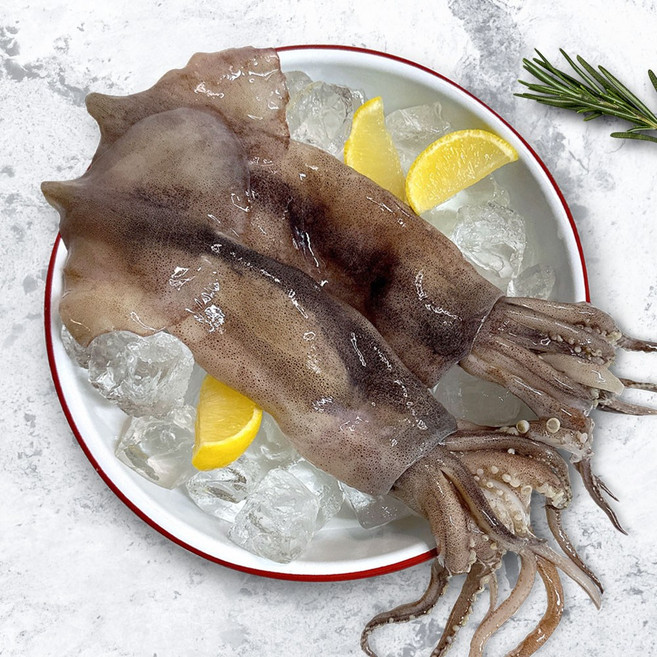 통오징어 못난이 손질 생물 냉동 선동 오징어 자연산 오징어숙회, 6개, 500g (못난이 손질통오징어)