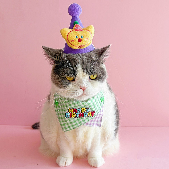 강아지 고양이 생일케이프 고깖모자 세트 생일파티용, 그린+퍼플, 1개