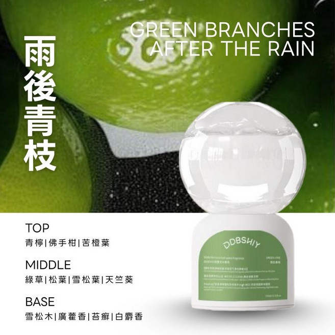 DDBSHIY 倒置香薰 居家室內香氛 持久清新, 1個, 350ml, 【雨後青枝】