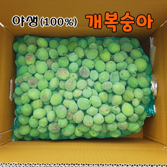 [ 예약순차배송 ] 야생 개복숭아 / 털복숭아/순 자연산 (100% 토종), 1개, 개복숭아 10kg