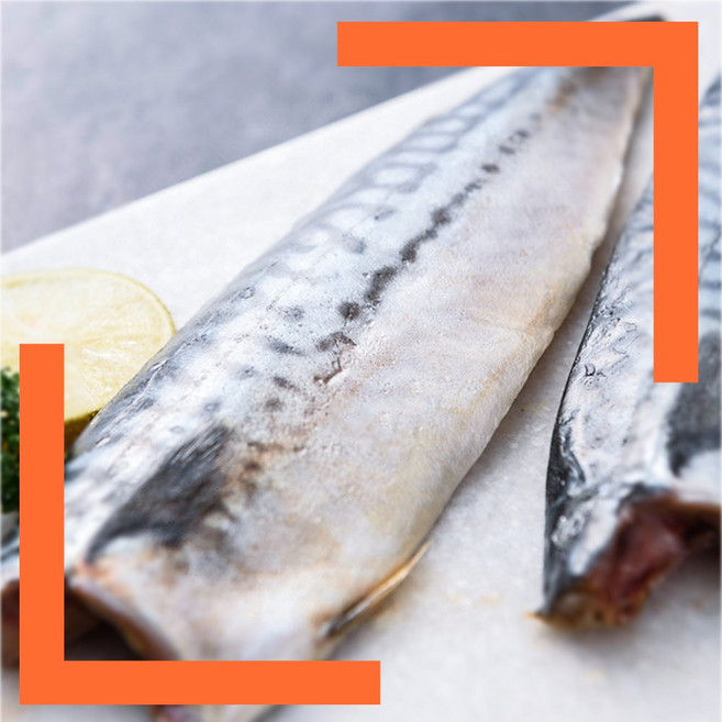 제주간고등어세트 제주간고등어선물용 제주간고등어선물세트, 1박스, 간고등어선물세트10팩(팩당160g이상)