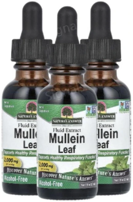 NaturesAnswer Mullein 뮬레인잎 액상 리퀴드 30ml 3개 뮬레인리프 - 쿠팡