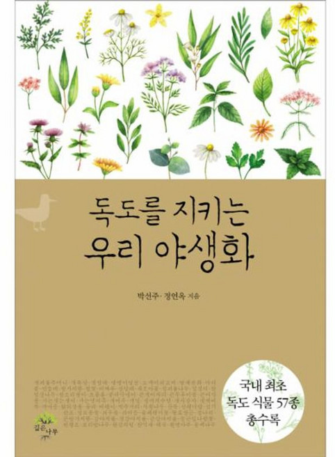 독도를 지키는 우리 야생화:국내 최초 독도 식물 57종 총수록, 깊은나무, 박선주, 정연옥