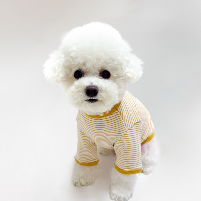 스타일독 강아지옷 미카 스트라이프 라운드, 1개, 노랑
