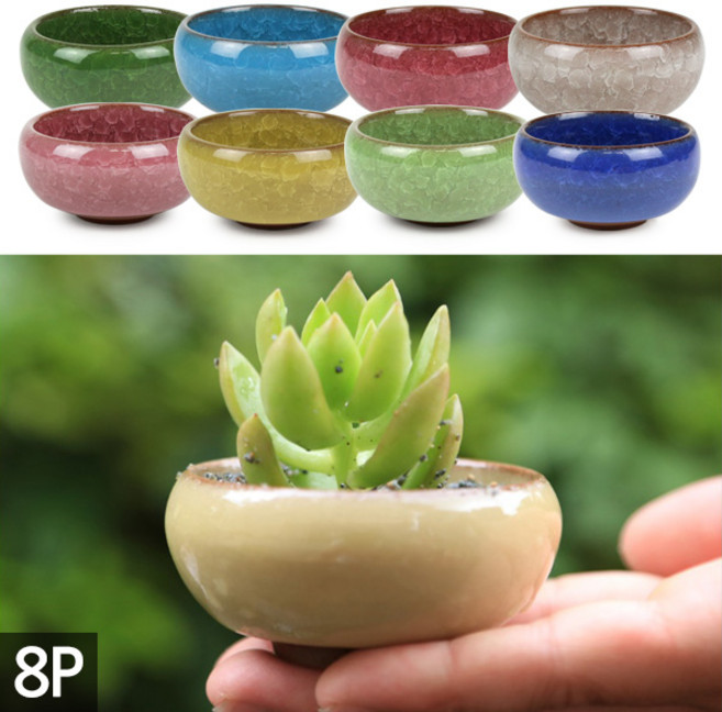 세인화분 다육이 미니 화분 8P 세트 - 콩분 예쁜 다육 선인장 균열 유약 인테리어 사무실 책상, 얼음균열화분, 8개
