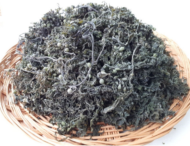 말린모자반 건모자반 진도모자반 마른모자반 모자반국 몸국, 말린모자반(건모자반) 1kg, 1개