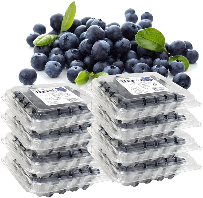 생 블루베리, 8개, 125g