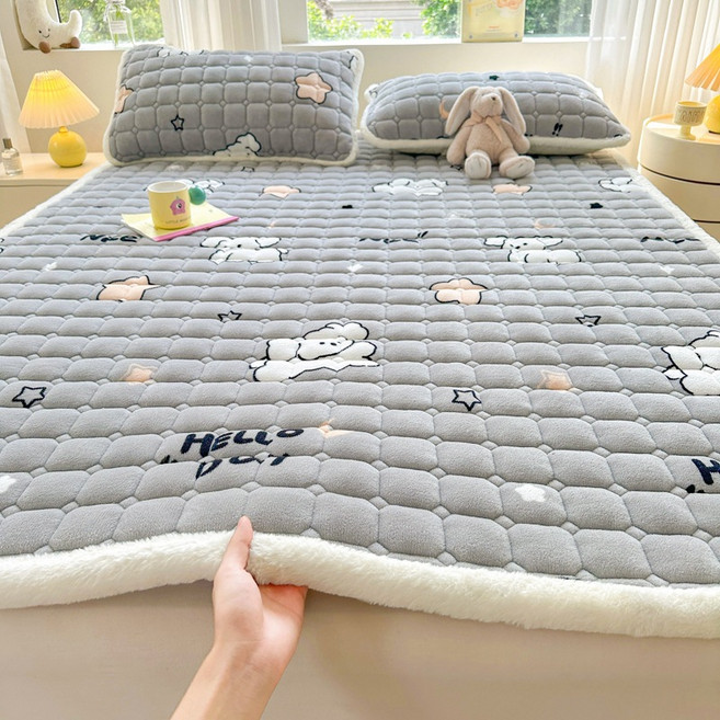 시스슈 겨울 따뜻한 벨벳 극세사 침대패드 베개커버 세트, RD001