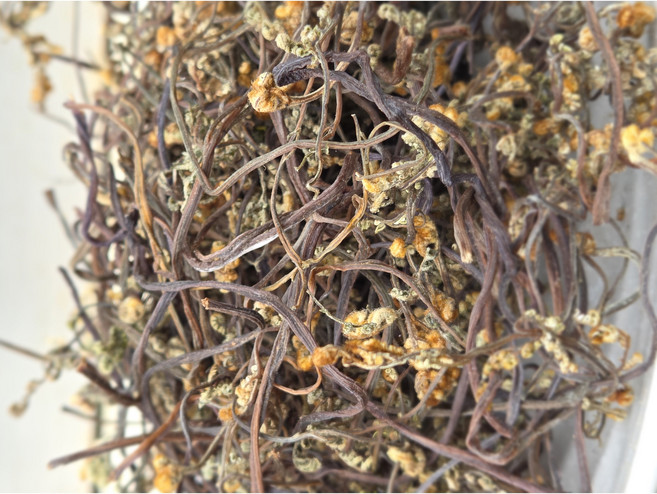 산들곳간 지리산 2026년산 햇 고사리 국산고사리 말린고사리 건고사리, 1개, 100g