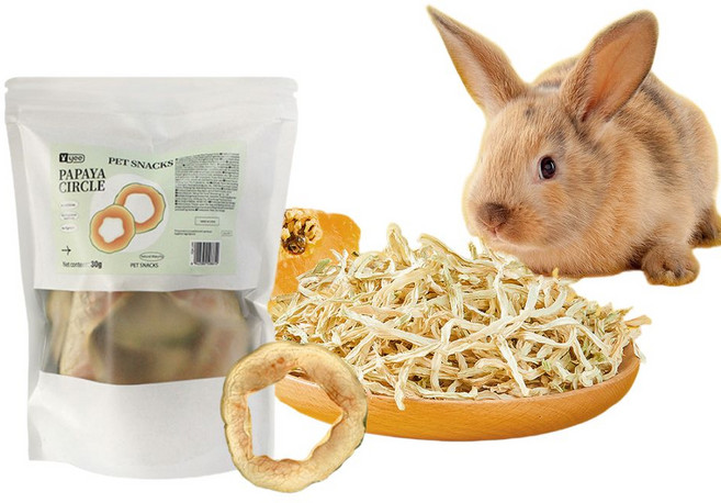 토끼 기니피그 햄스터 간식 파파야 천연 영양간식, 1개, 30g