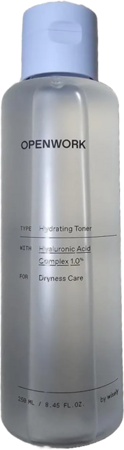와이즐리 히알루론산 촉촉 수분 토너, 1개, 250ml