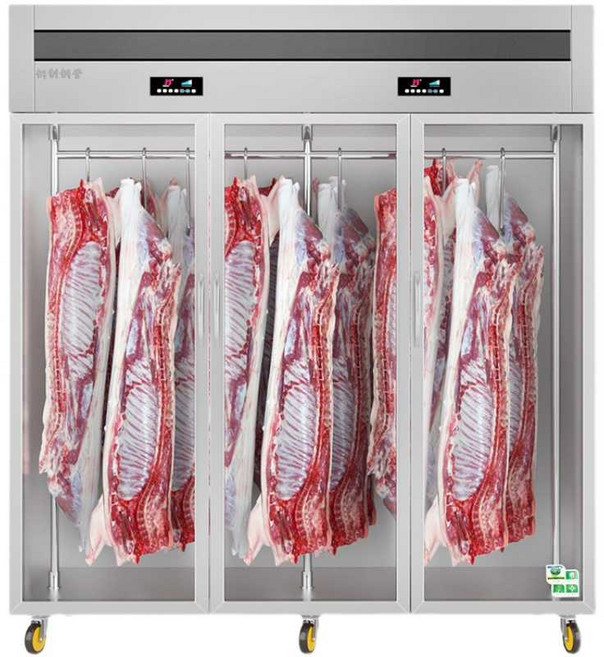 업소용 고기 숙성 냉장고 쇼케이스 정육점 냉동고, 단문 경제형 모델 600x700x1950