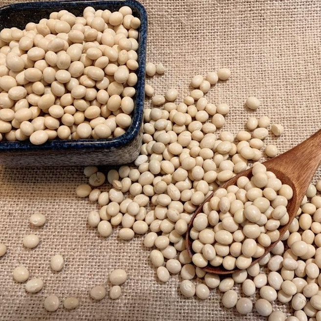 鄉禾商行 加拿大產非基因改造黃豆 600克 真空包裝, 600g, 1個