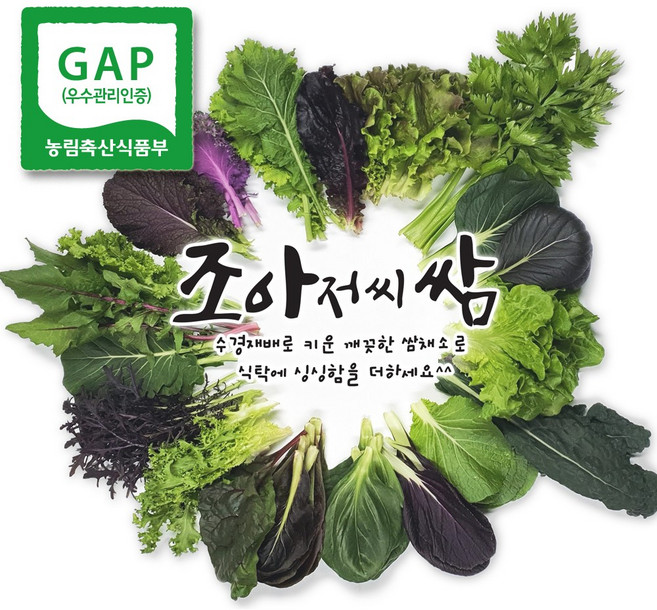 조아쌈 GAP 모듬 쌈채소 샐러드 야채 수확 발송 상주 로메인 겨자 케일 외10종이상, 1개, 모듬쌈 500g