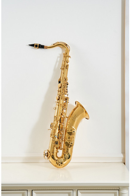 마커스테너색소폰_ts100_마커스색소폰_테너색소폰_마커스섹소폰_마커스테너섹소폰_테너색소폰마커스_테너섹소폰_색소폰_골드_실버, 골드, 1개