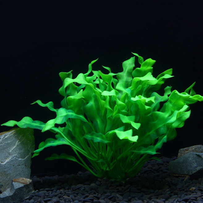 영아쿠아 인조 수초 크립토코린 웬디티 중, 2개