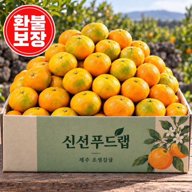 (고당도) 제주직송 한정특가 제주 감귤, 1개, 5kg 대과